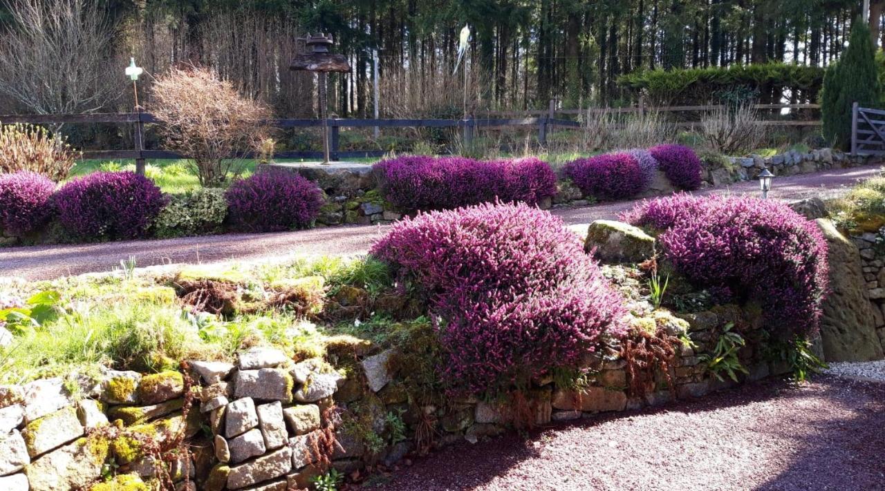 Le Petit Bois Normand - Chambre D'Hote Bed and Breakfast Champ-du-Boult Exteriör bild