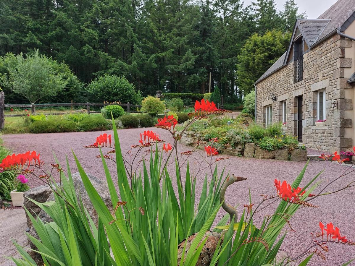 Le Petit Bois Normand - Chambre D'Hote Bed and Breakfast Champ-du-Boult Exteriör bild